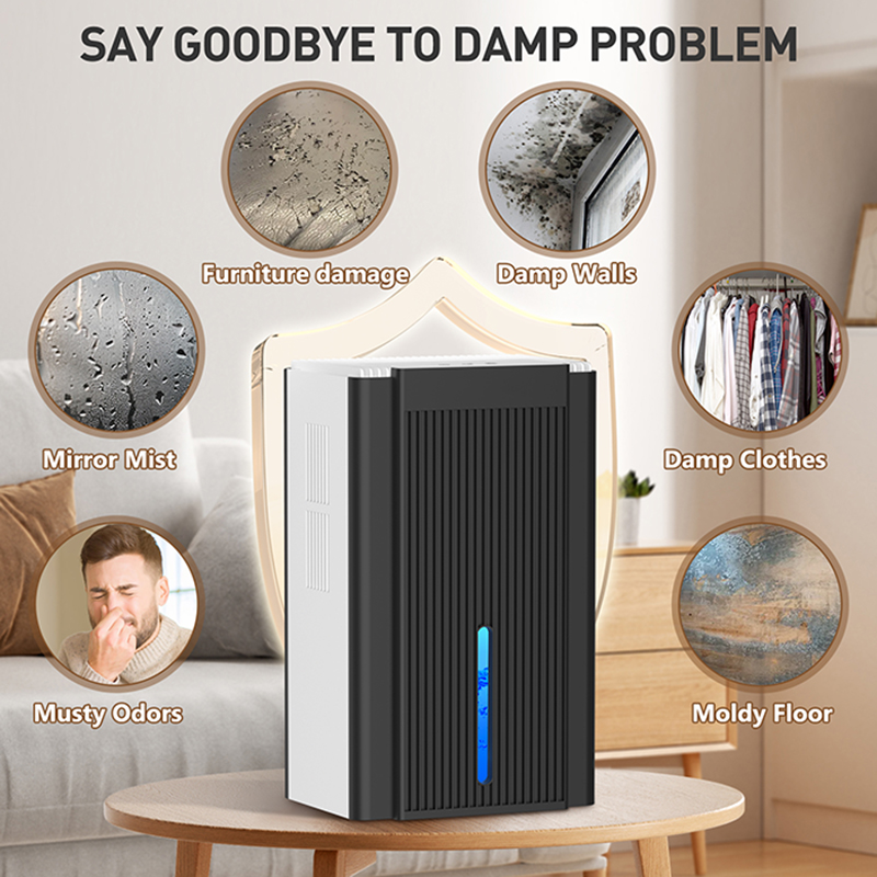 CT11 black and white